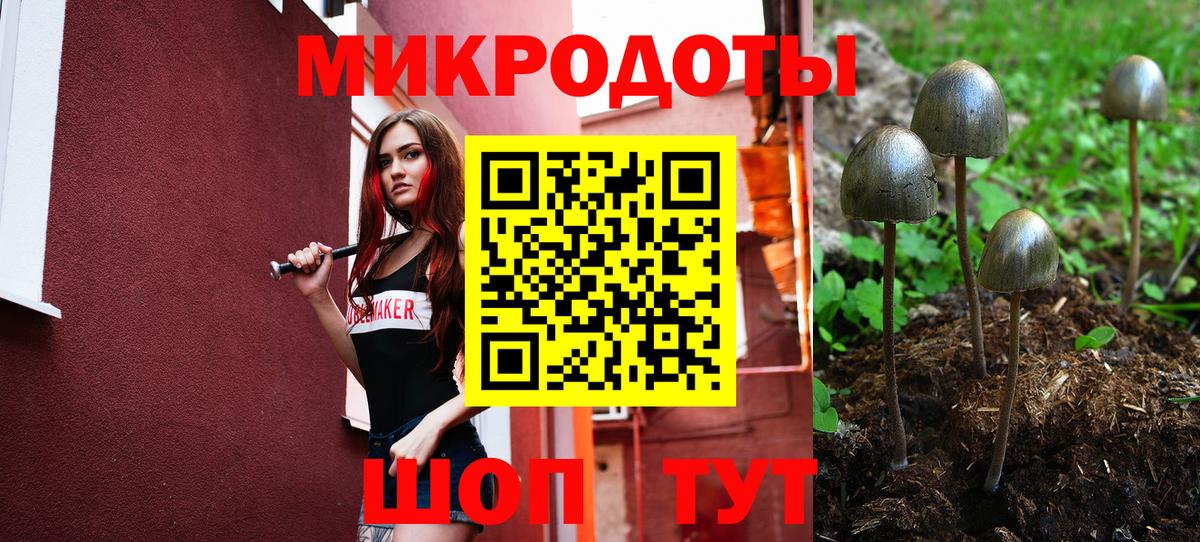 Галлюциногенные грибы Magic Shrooms  купить  сайты  Тара  Псилоцибиновые грибы мухоморы  Вход с VPN 