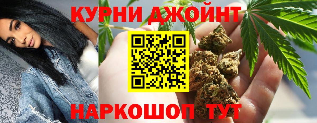 Канабис White Widow  Конопля семена  Тара  Бошки Шишки VHQ  Марихуана конопля  Вход с VPN 