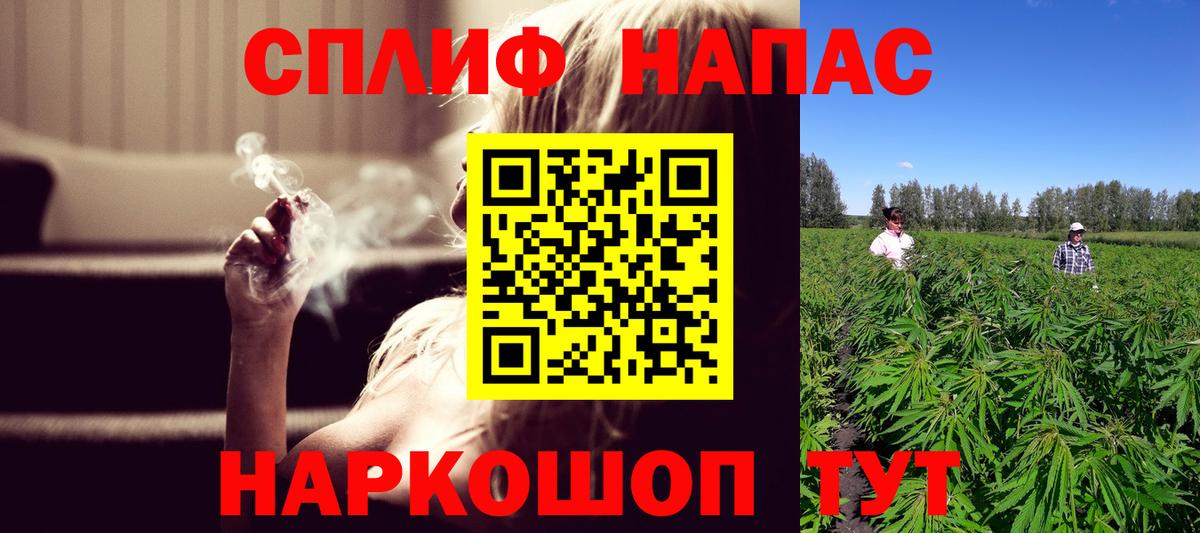 Каннабис планчик Тара